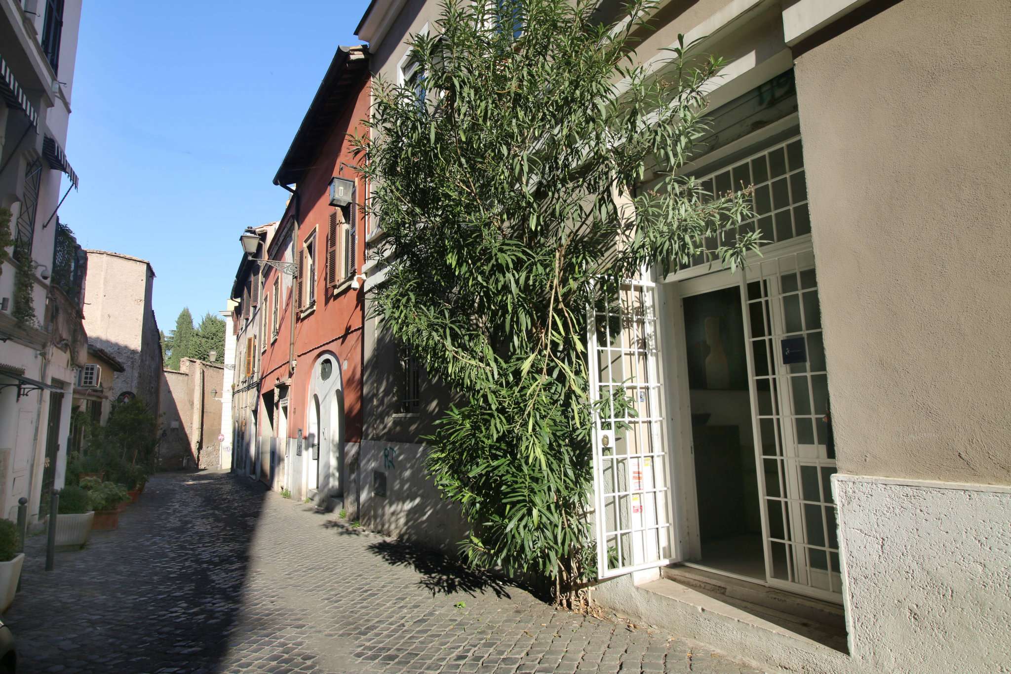 Negozio - Loc.Com. ROMA vendita  TRASTEVERE  della Paglia Link Immobiliare