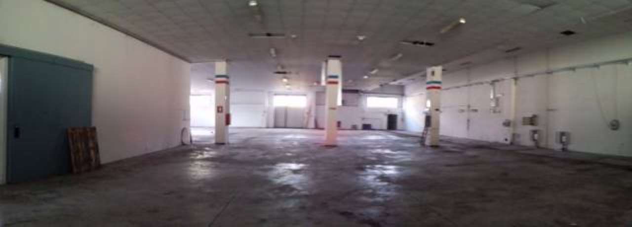 Capannoni (Tutti) PERUGIA vendita  BALANZANO Comunale dei Loggi Link Immobiliare