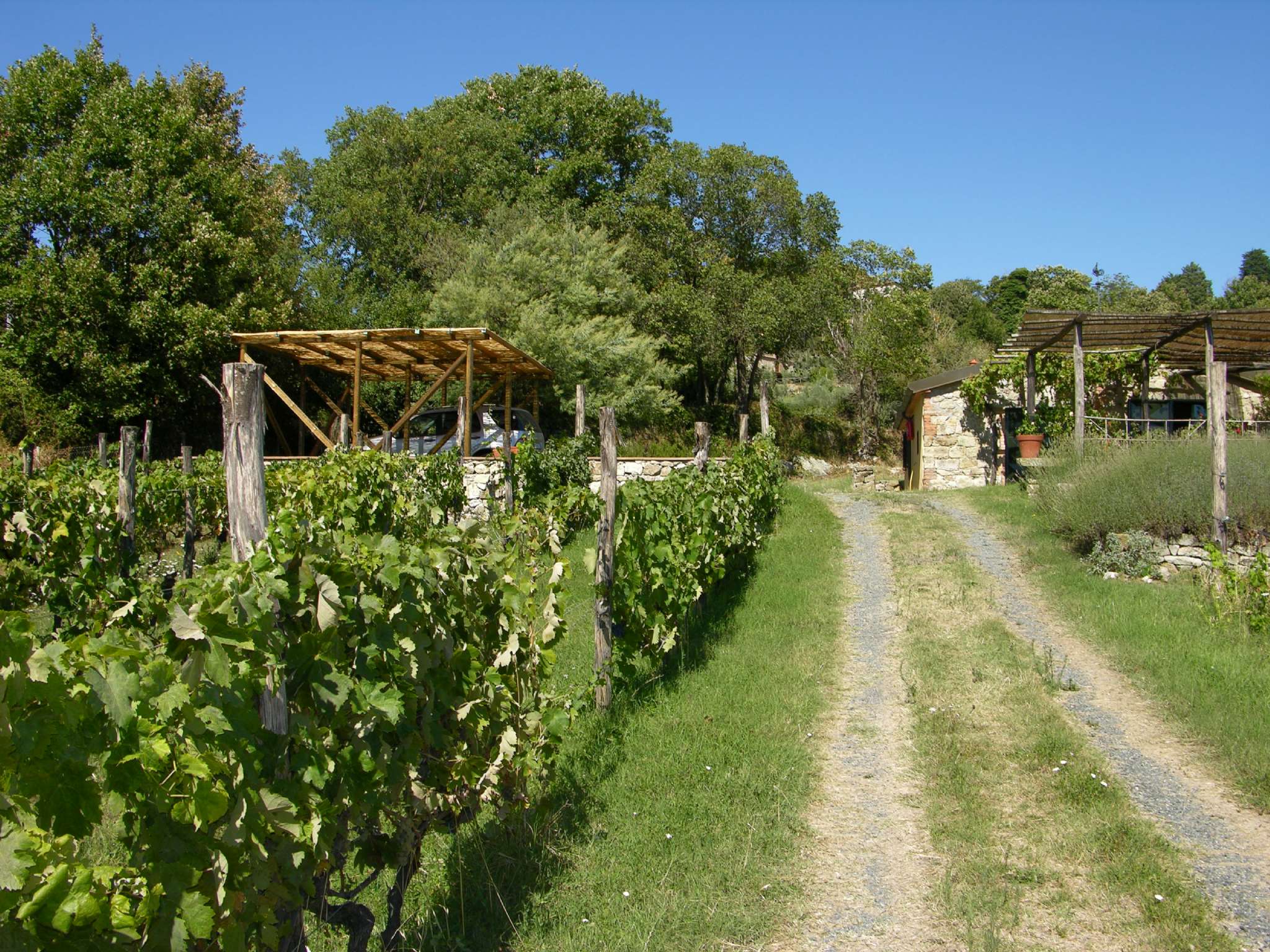 Villa Unifamiliare - Indipendente ROCCASTRADA vendita   dei Mulini Link Immobiliare