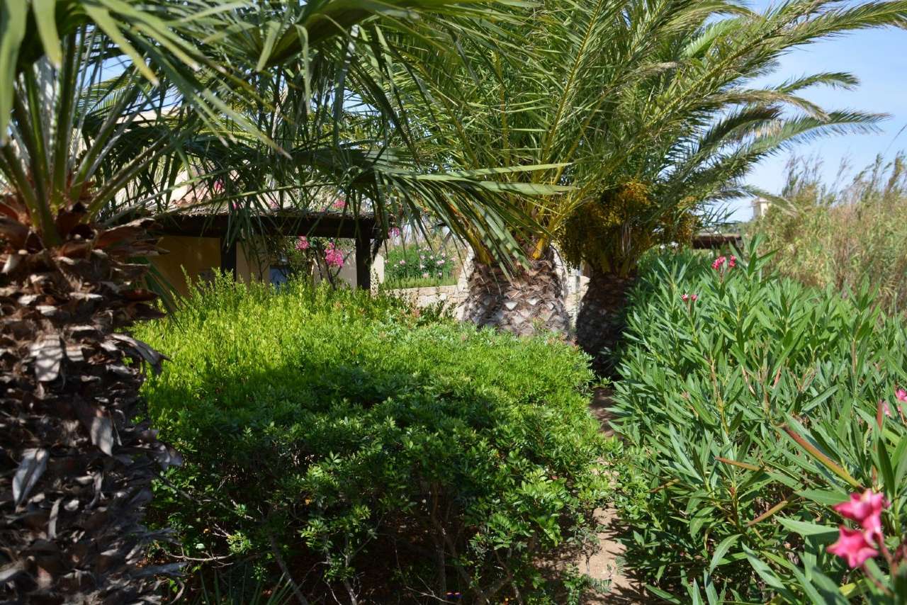 Villa Unifamiliare - Indipendente LA MADDALENA vendita   degli Asfodeli Link Immobiliare