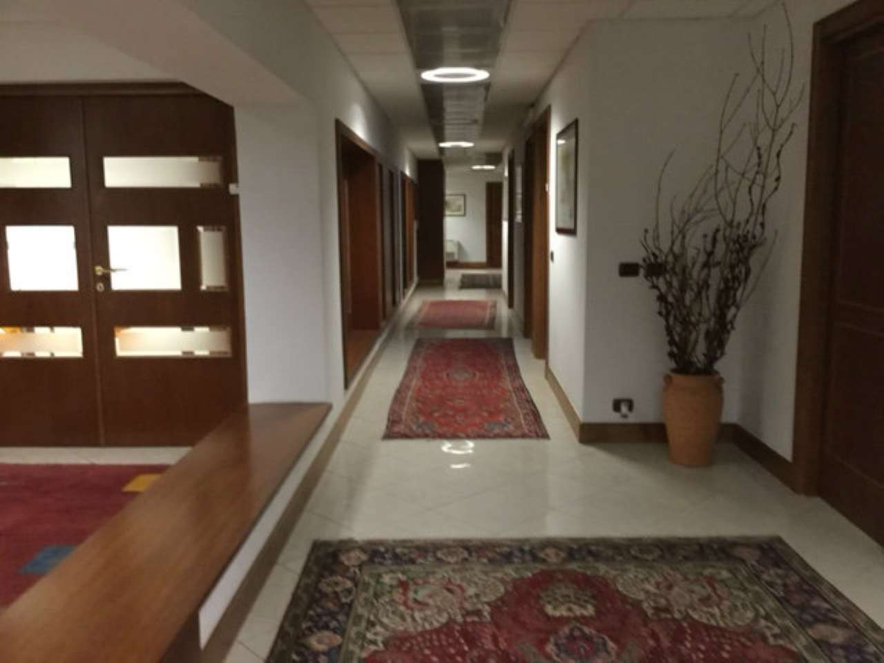  roma affitto quart: parioli  link-immobiliare