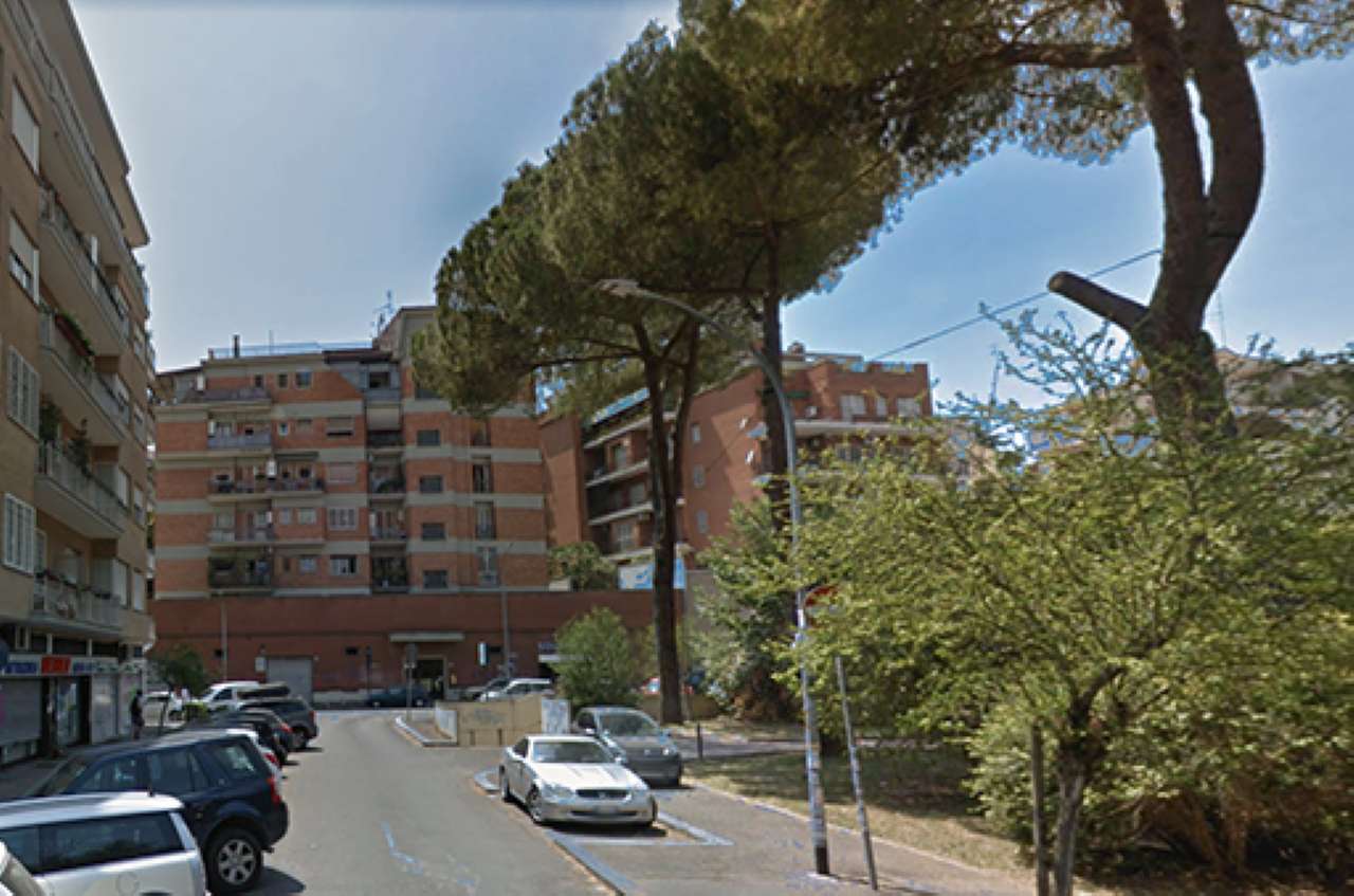 Negozio - Loc.Com. ROMA affitto  VIGNA CLARA degli Orti della farnesina Link Immobiliare