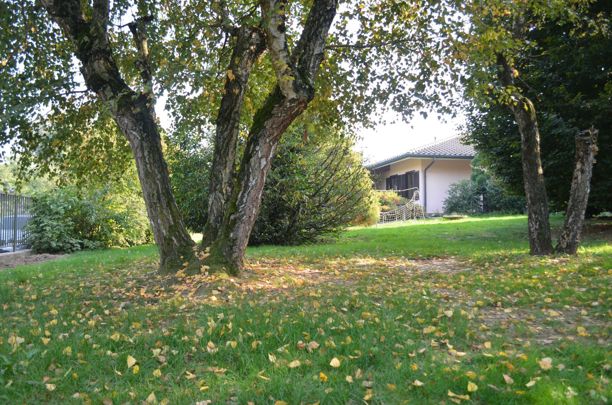 Villa CABIATE vendita   via don minzoni Studio Buzzi Geom. Massimo