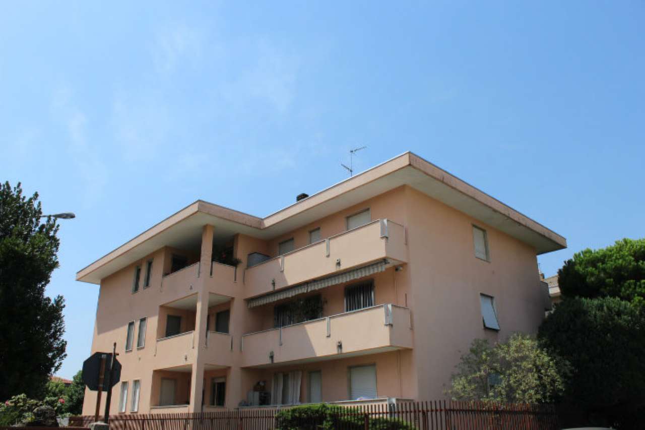 Appartamento BUSTO ARSIZIO vendita   San Carlo Civis Immobiliare snc