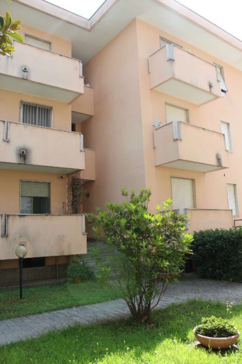 Appartamento BUSTO ARSIZIO vendita   San Carlo Civis Immobiliare snc