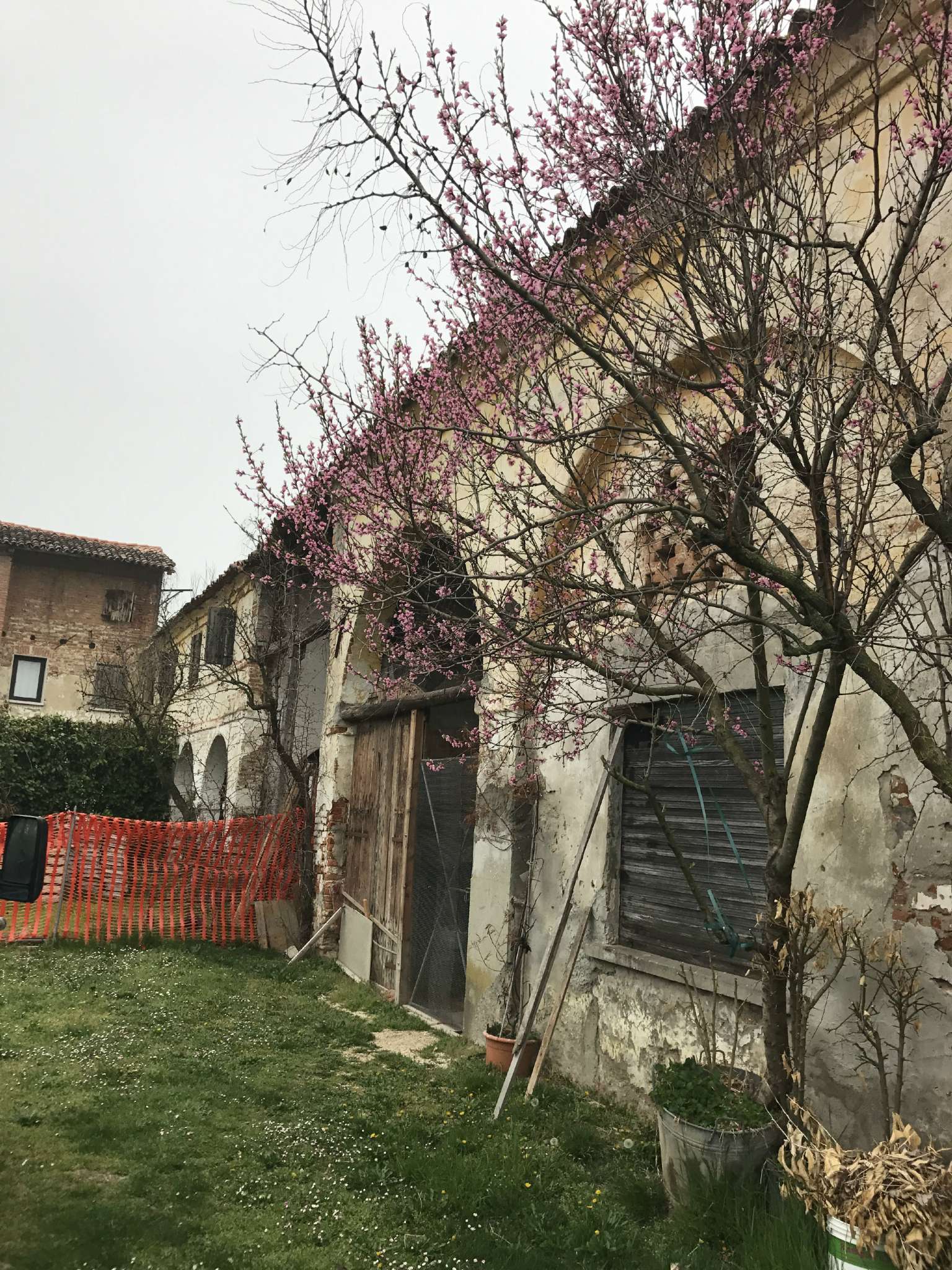 Rustico - Cascina NOALE vendita    Alterego Immobiliare sas