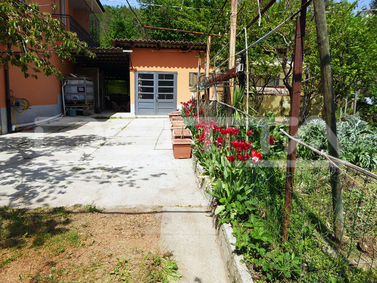 Villa Unifamiliare - Indipendente DOGLIANI vendita   via codevilla Dotta Immobiliare