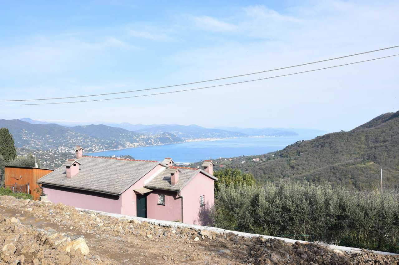 Villa SANTA MARGHERITA LIGURE vendita   dolcina alta Dolce Studio Immobiliare