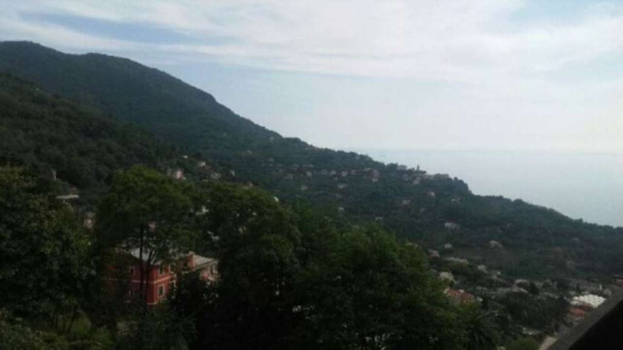  camogli vendita quart:  agenzia-immobiliare-memmo-di-maisano-domenico