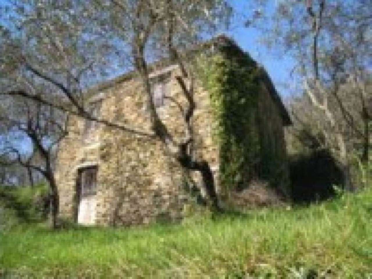 Rustico - Cascina AVEGNO vendita   serro Antico F. Civ. 41 - ambo i lati Agenzia Immobiliare Memmo di Maisano Domenico