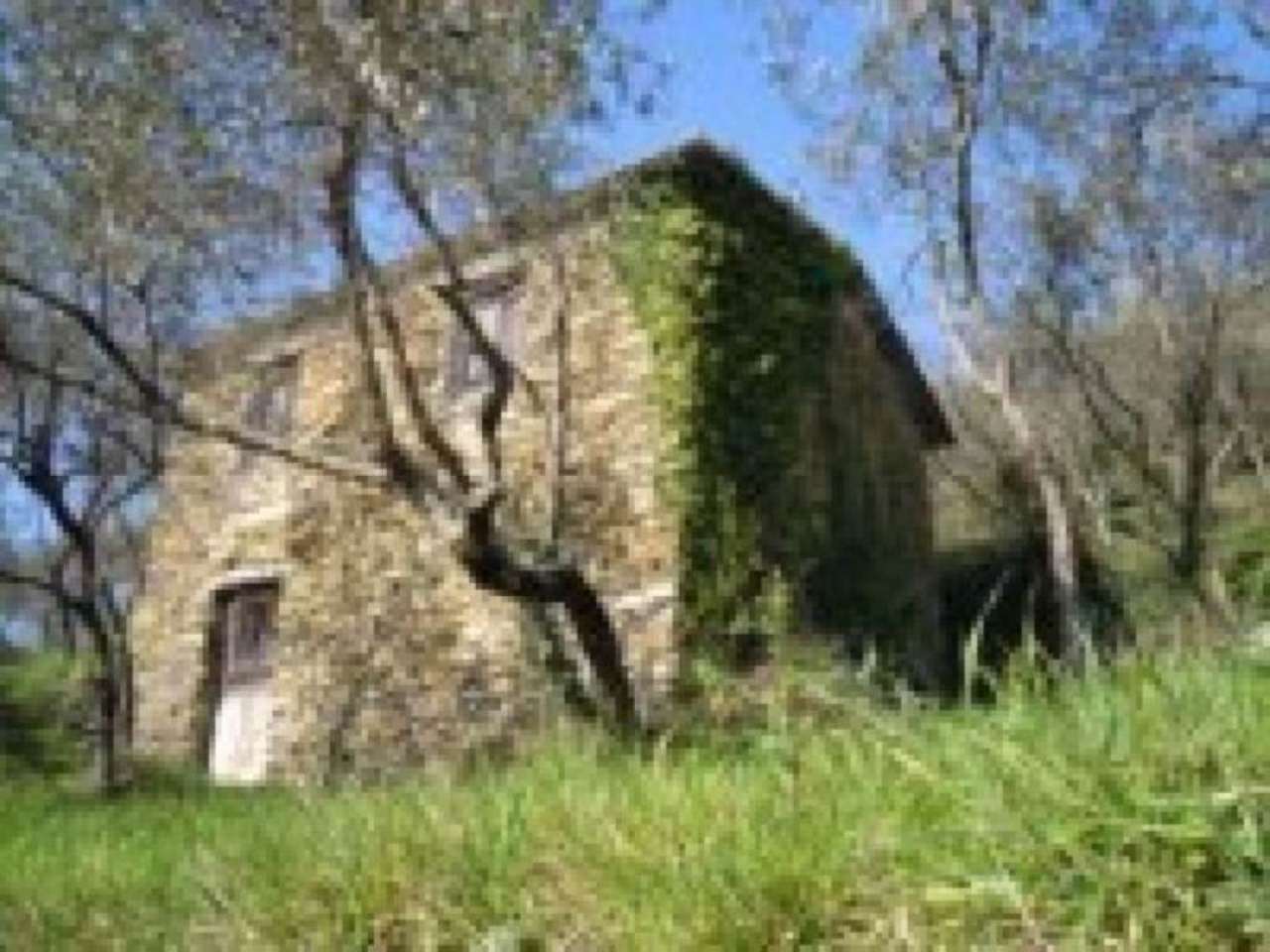 Rustico - Cascina AVEGNO vendita   serro Antico F. Civ. 41 - ambo i lati Agenzia Immobiliare Memmo di Maisano Domenico