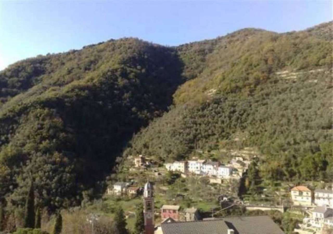 Villa Unifamiliare - Indipendente AVEGNO vendita   Casa Indipendente in vendita salita pietrafitta 7, Avegno Agenzia Immobiliare Memmo di Maisano Domenico