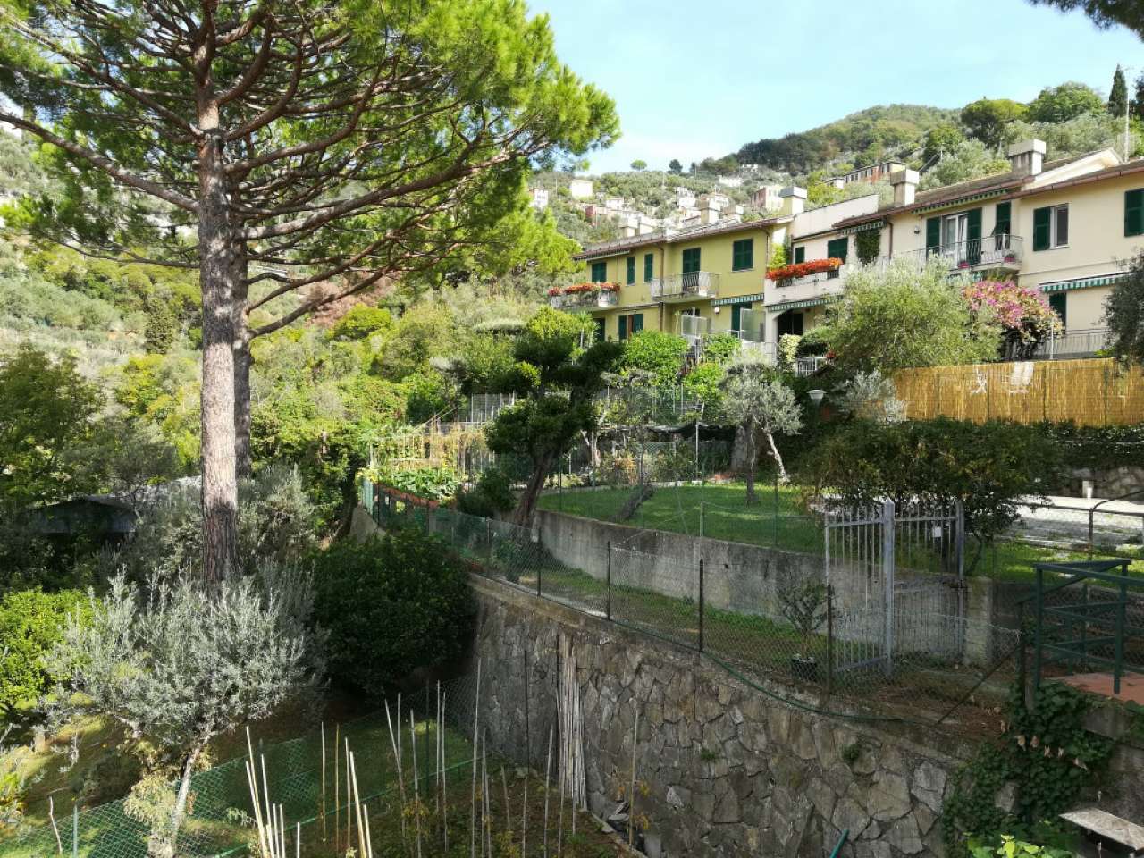 Appartamento CAMOGLI affitto   Migliaro Agenzia Immobiliare Memmo di Maisano Domenico