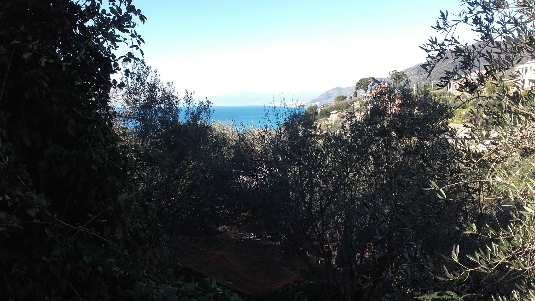 Appartamento CAMOGLI vendita   San Giacomo Agenzia Immobiliare Memmo di Maisano Domenico