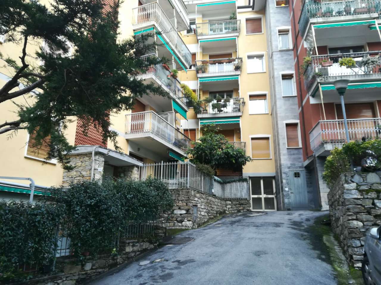 Appartamento CAMOGLI affitto   Castagneto Agenzia Immobiliare Memmo di Maisano Domenico