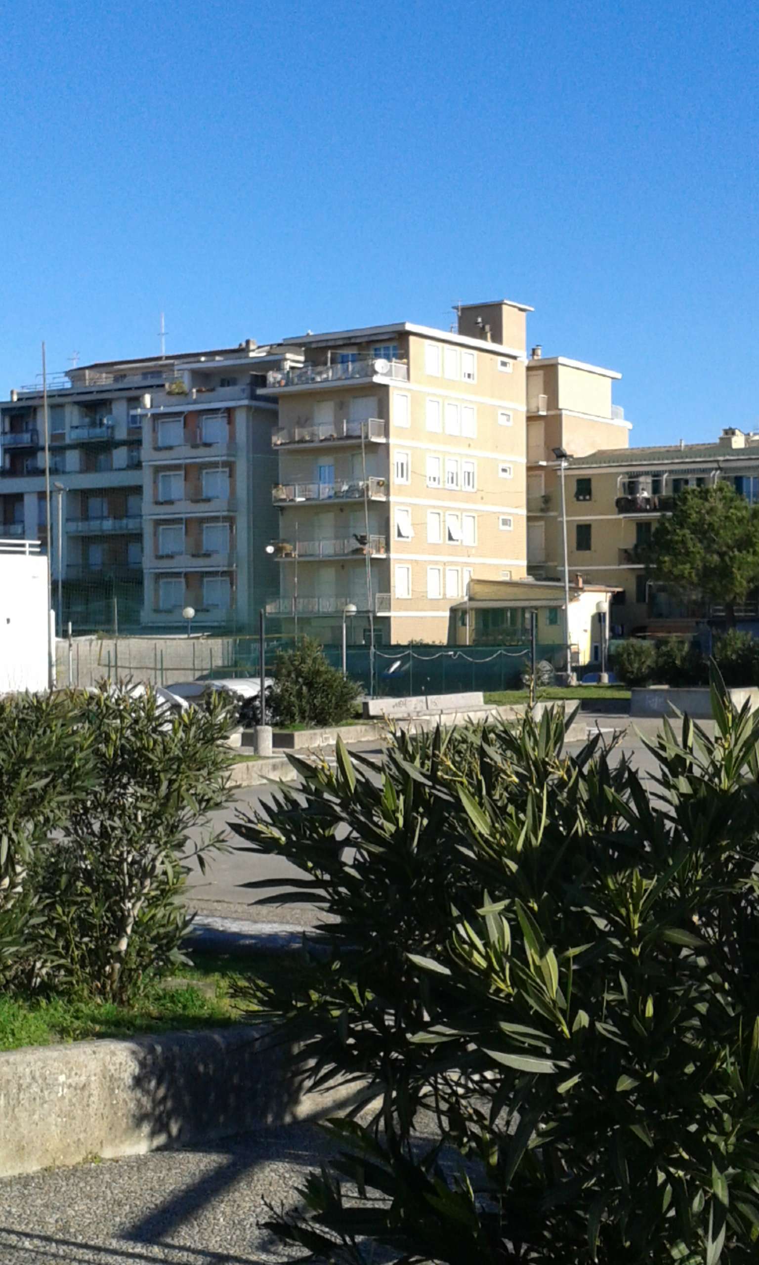 Appartamento LAVAGNA vendita   dei devoto Agenzia Immobiliare Memmo di Maisano Domenico