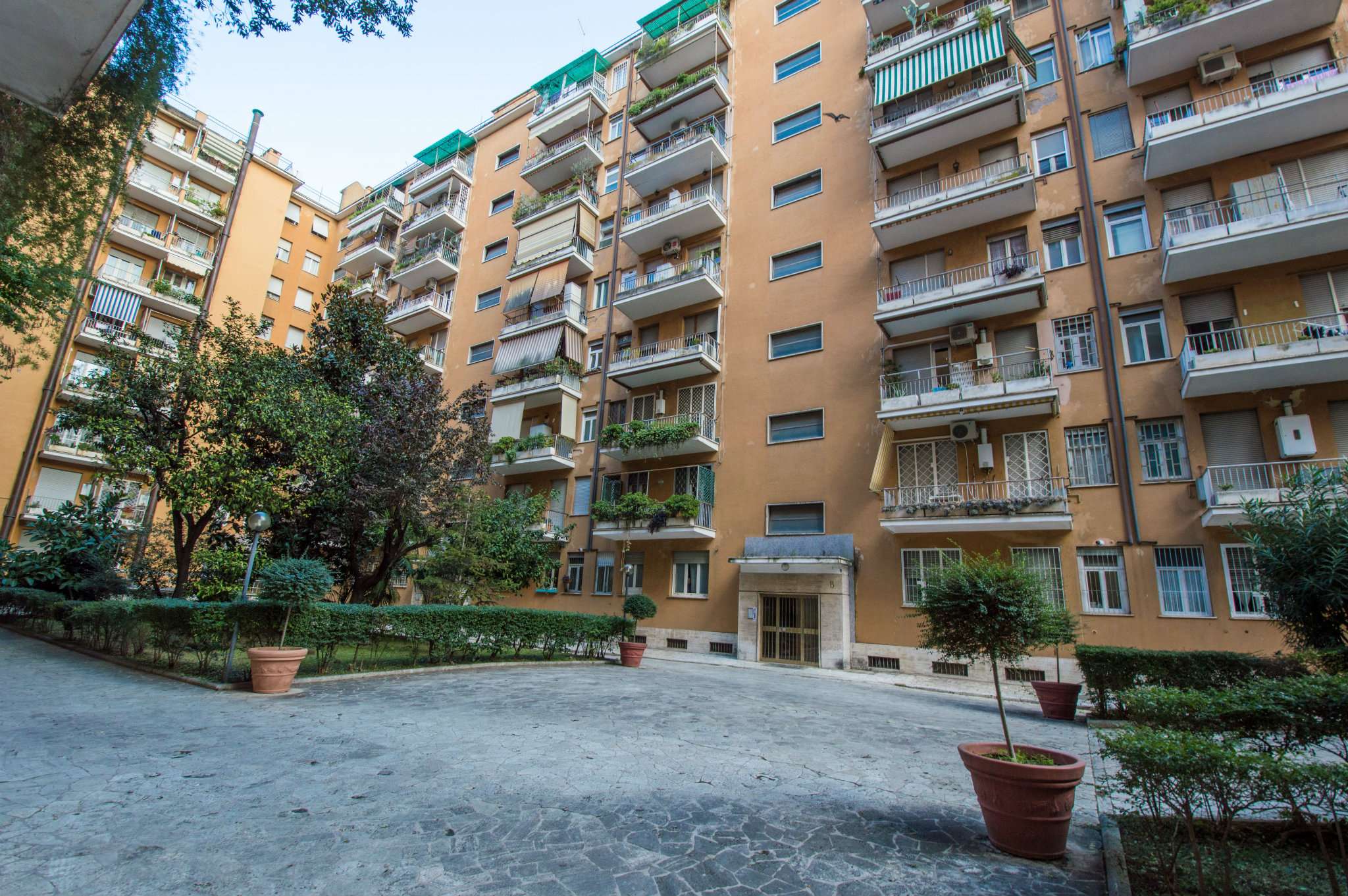 Appartamento ROMA vendita  TRIESTE (II MUN.) Lucrino Con Te Immobiliare