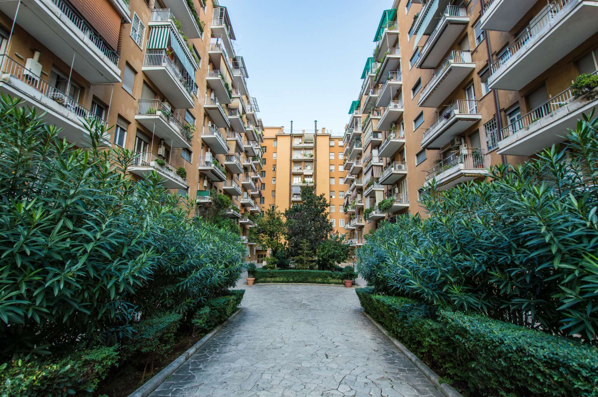 Appartamento ROMA vendita  TRIESTE (II MUN.) Lucrino Con Te Immobiliare