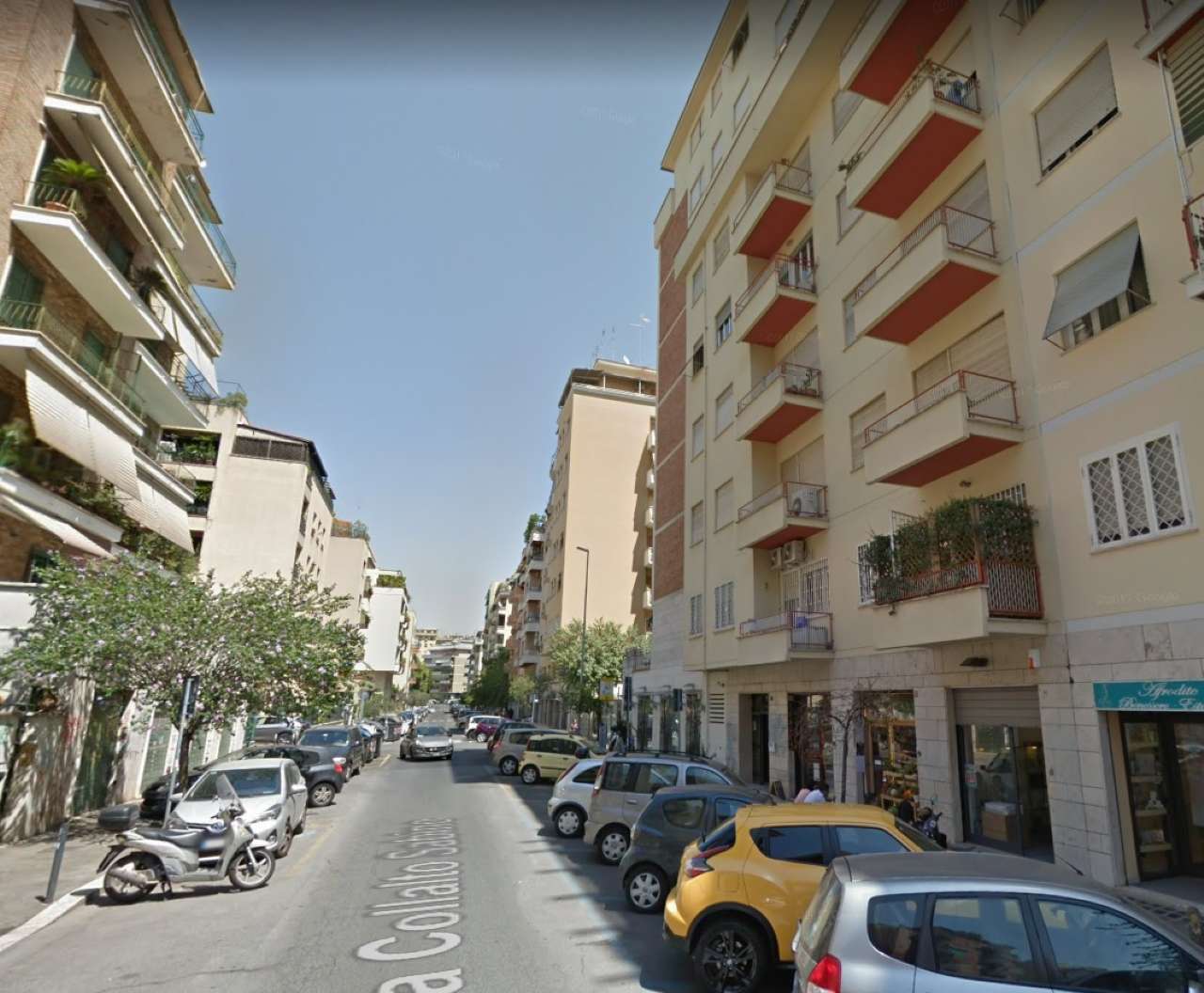  roma affitto quart: trieste (ii mun.) con te immobiliare