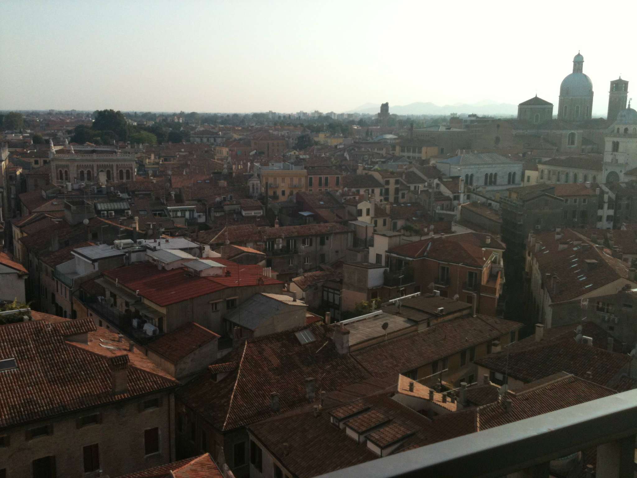 Appartamento PADOVA affitto  CENTRO  COPERNICO RE