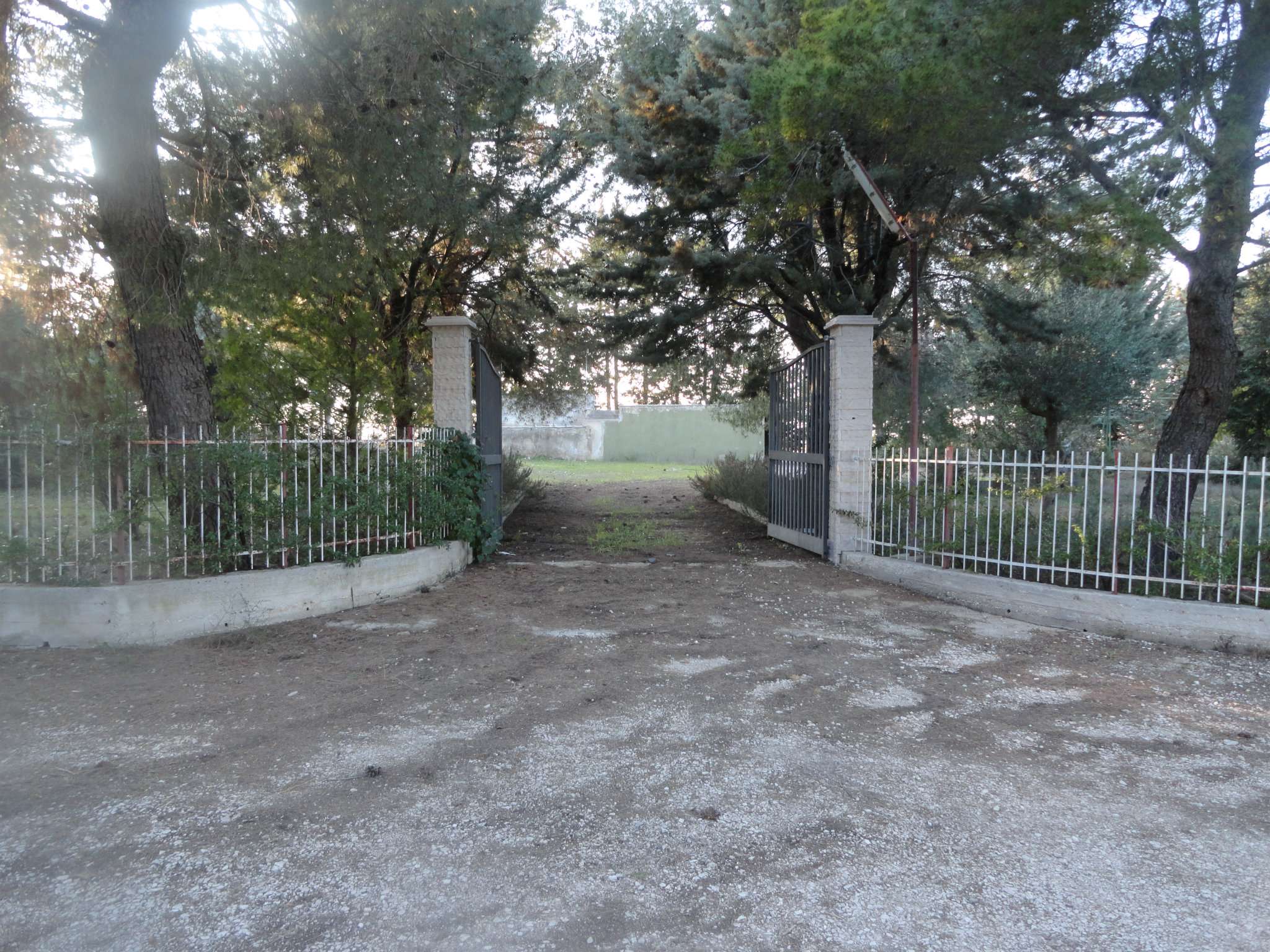 Rustico - Cascina ANDRIA vendita   dei colli sereni Qui Affitti di Tondolo Saverio