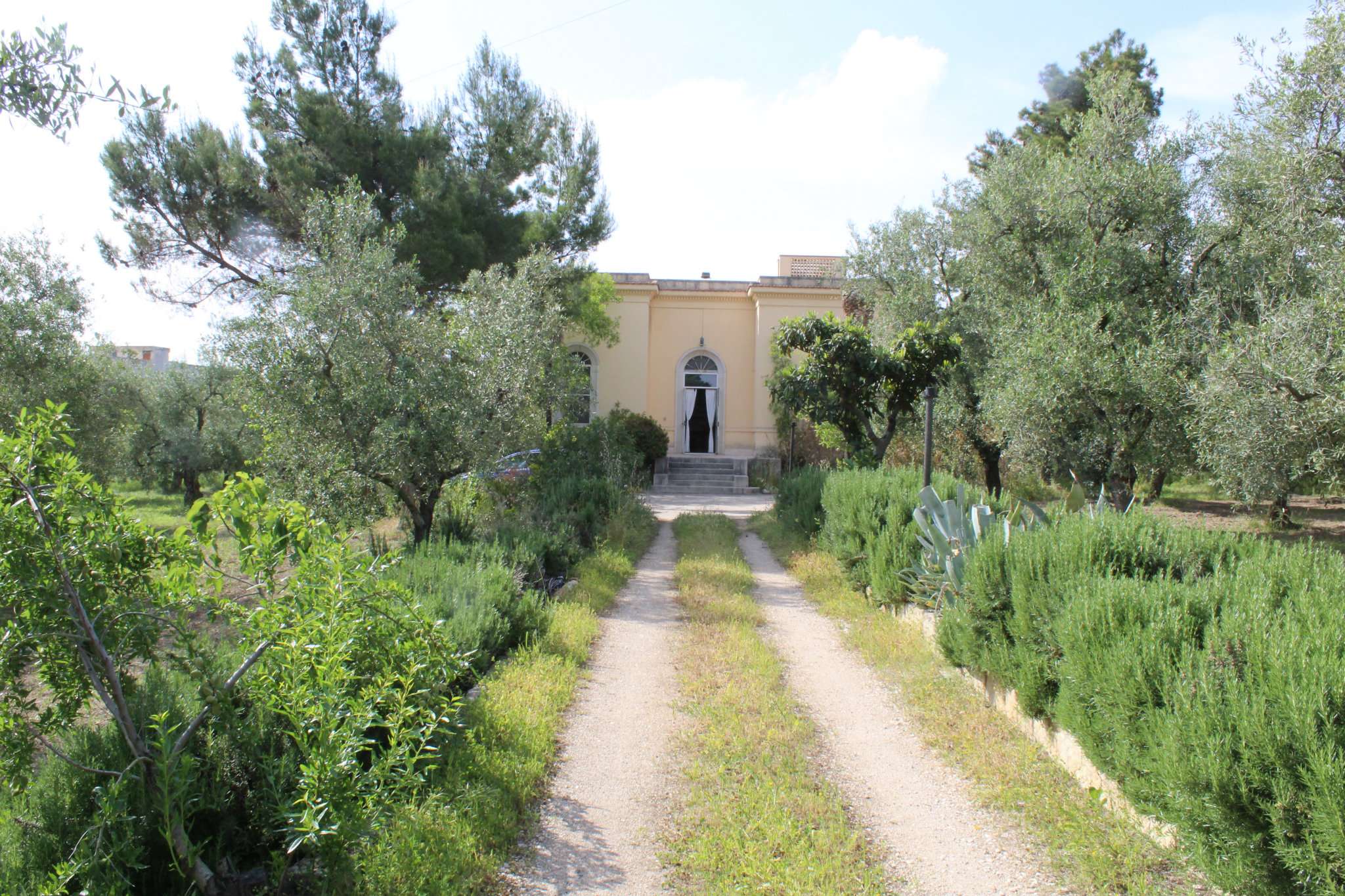 Villa Trifamiliare ANDRIA affitto   VICINALE GORGE Qui Affitti di Tondolo Saverio