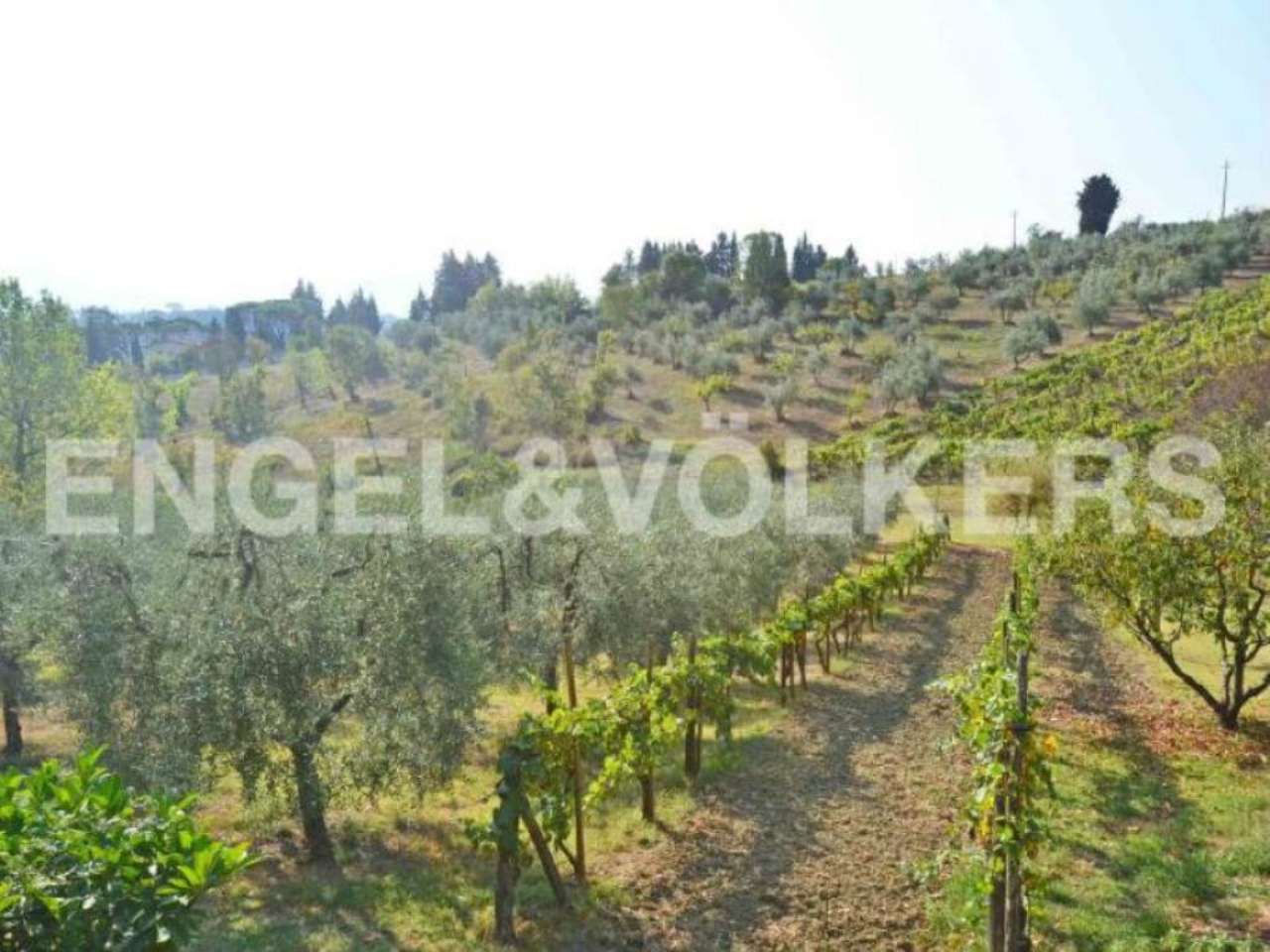 Villa Bifamiliare IMPRUNETA affitto   Pian di Pancole Engel&Völkers Firenze Michelangelo