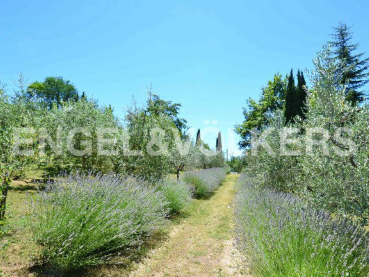 Appartamento GREVE IN CHIANTI vendita    Engel&Völkers Firenze Michelangelo