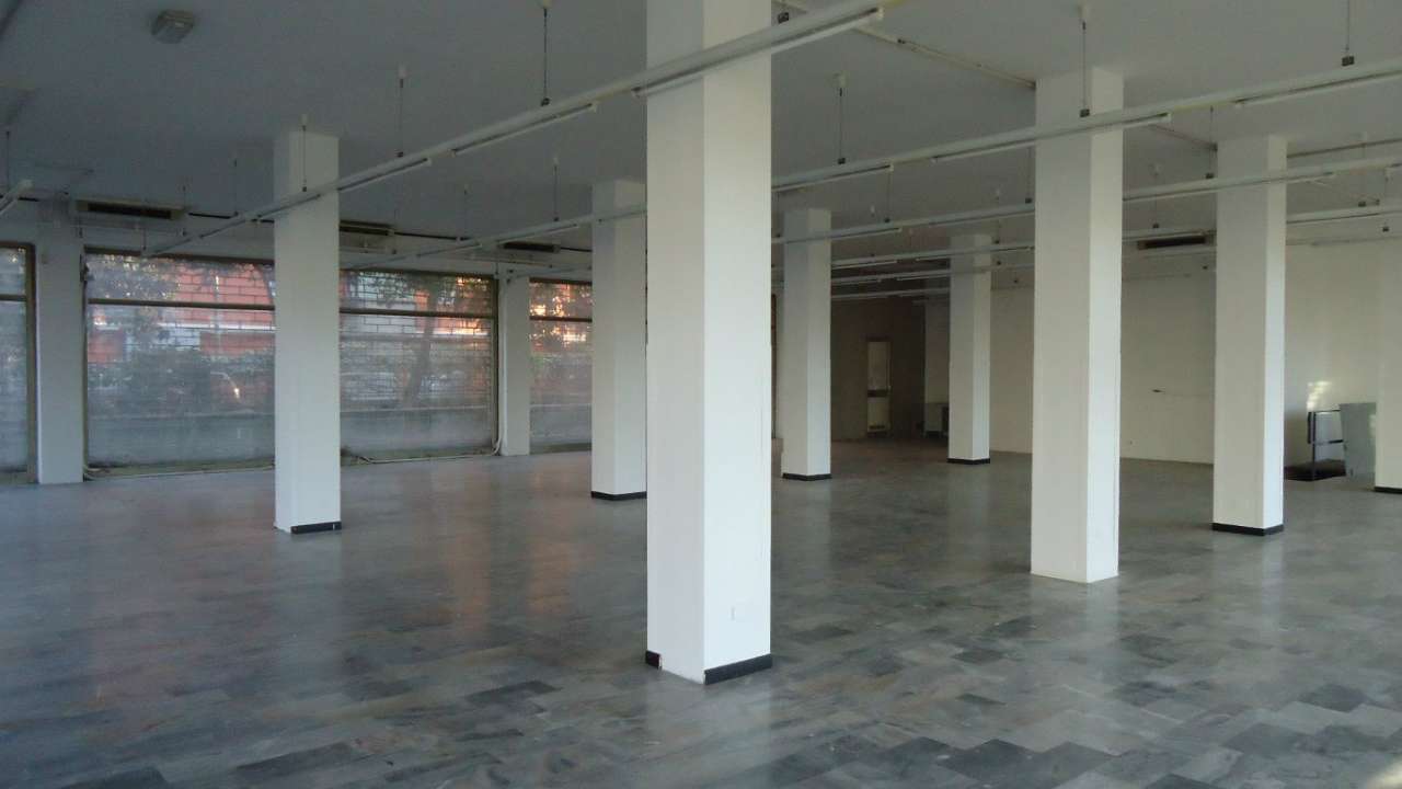  padova affitto quart: san bellino ag.-imm.-borromeo