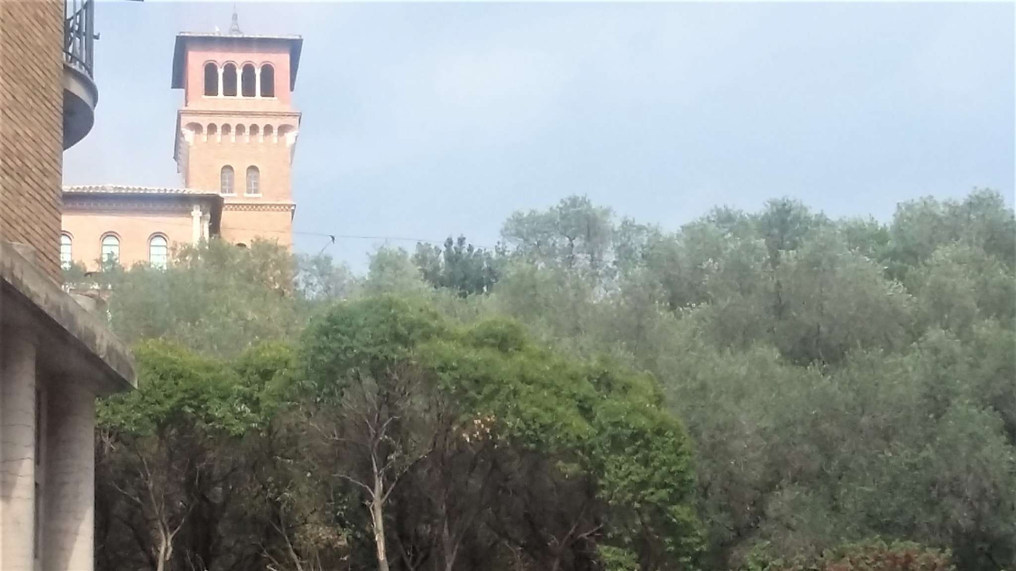 Negozio - Loc.Com. ROMA vendita  TESTACCIO  Luigi Vanvitelli marco montemauri