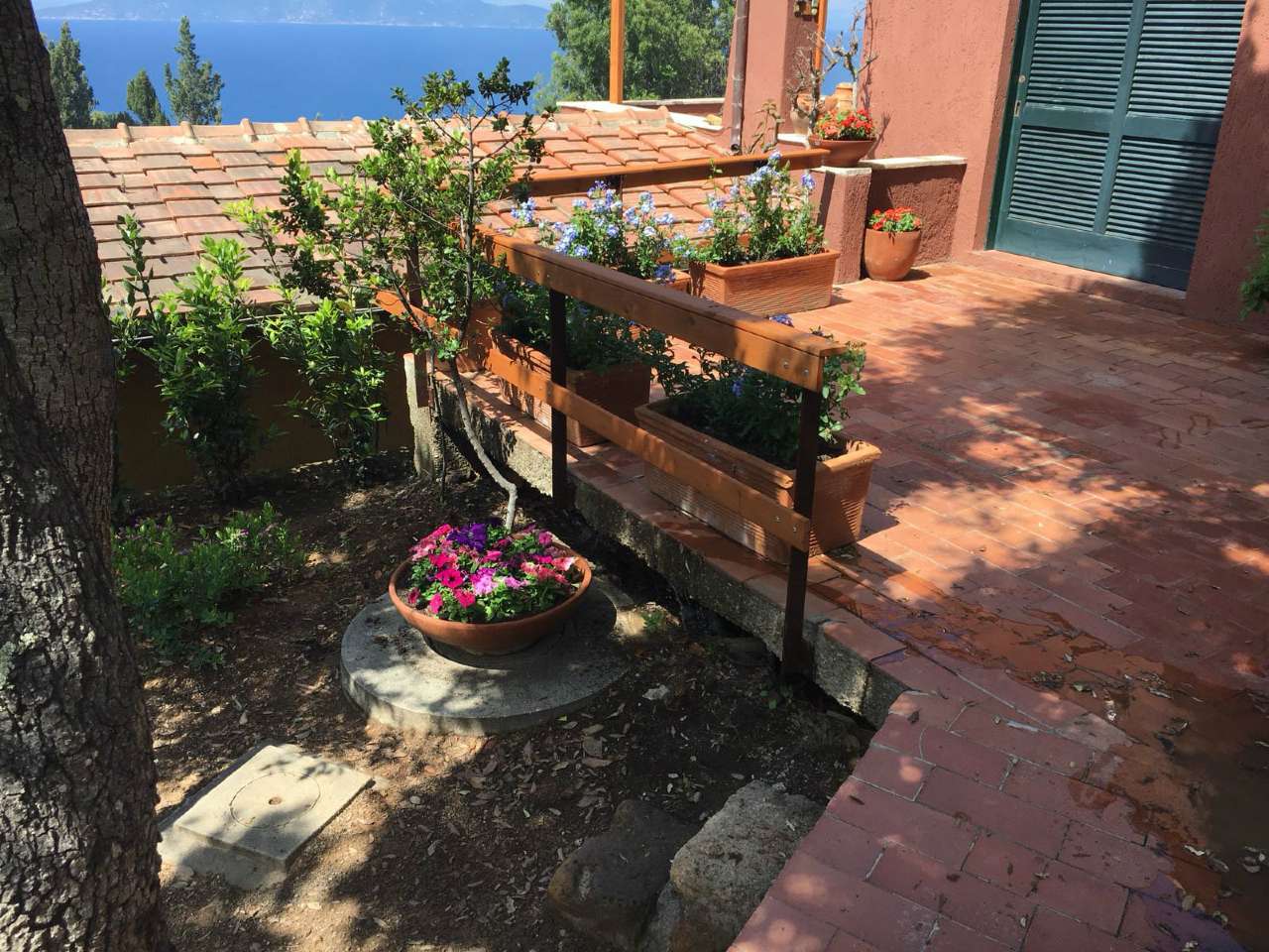 Villa Affiancata - Schiera MONTE ARGENTARIO vendita    GS Residenziale Giovanna Scarpellino