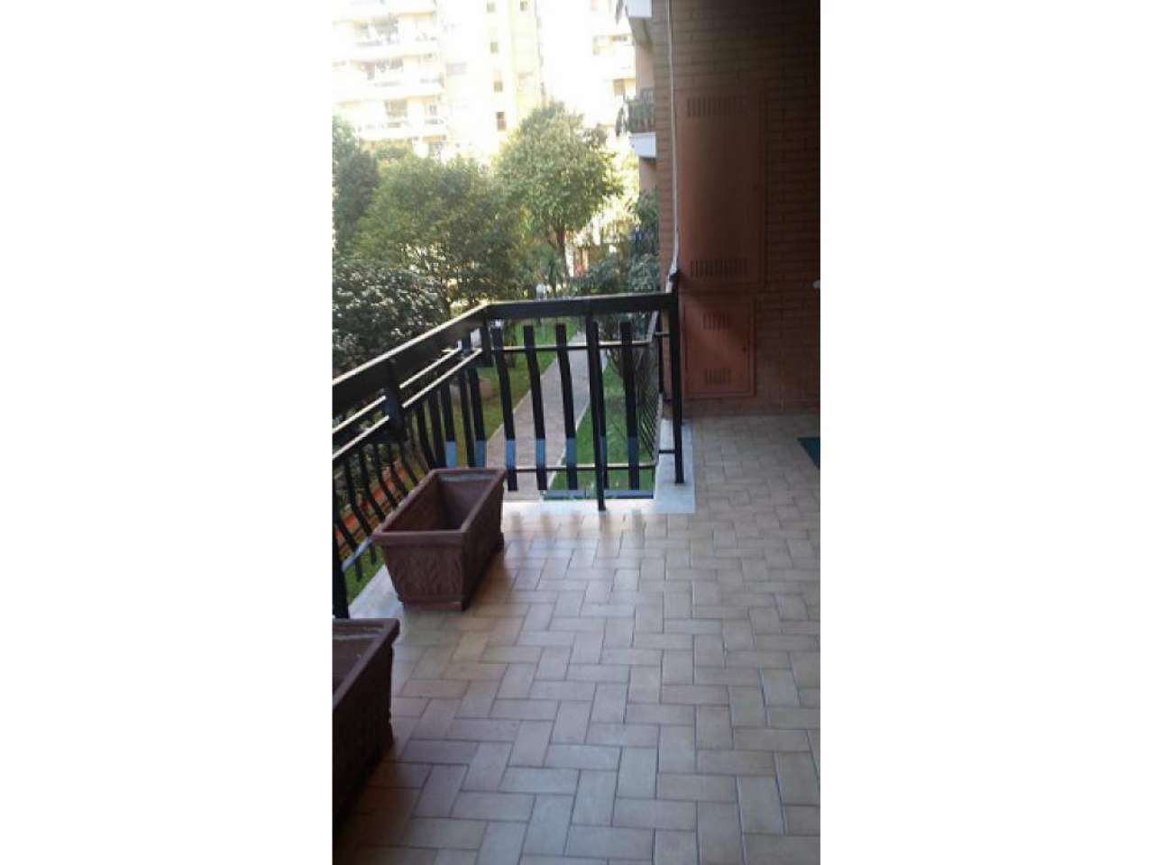 Appartamento ROMA affitto   BRUNO RIZZIERI Affiliato Frimm - Alpa Immobiliare s.r.l.s.