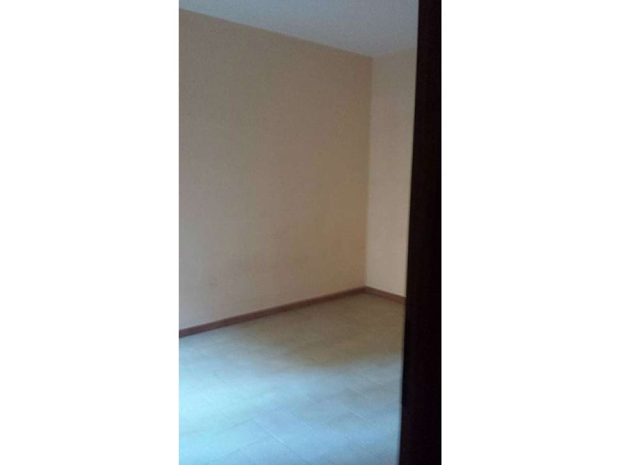 Appartamento ROMA affitto   BRUNO RIZZIERI Affiliato Frimm - Alpa Immobiliare s.r.l.s.