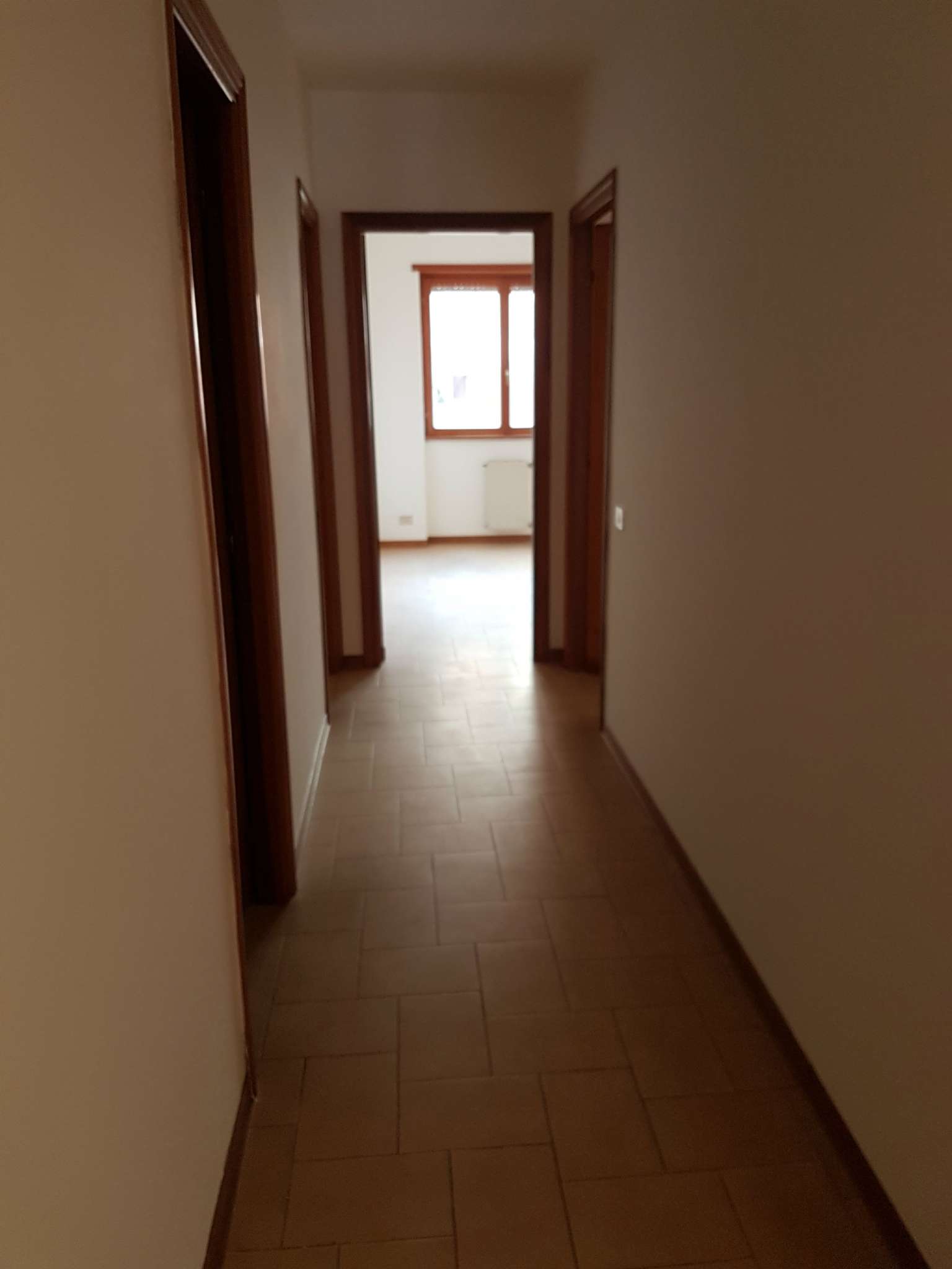 Appartamento ROMA affitto   BRUNO RIZZIERI Affiliato Frimm - Alpa Immobiliare s.r.l.s.