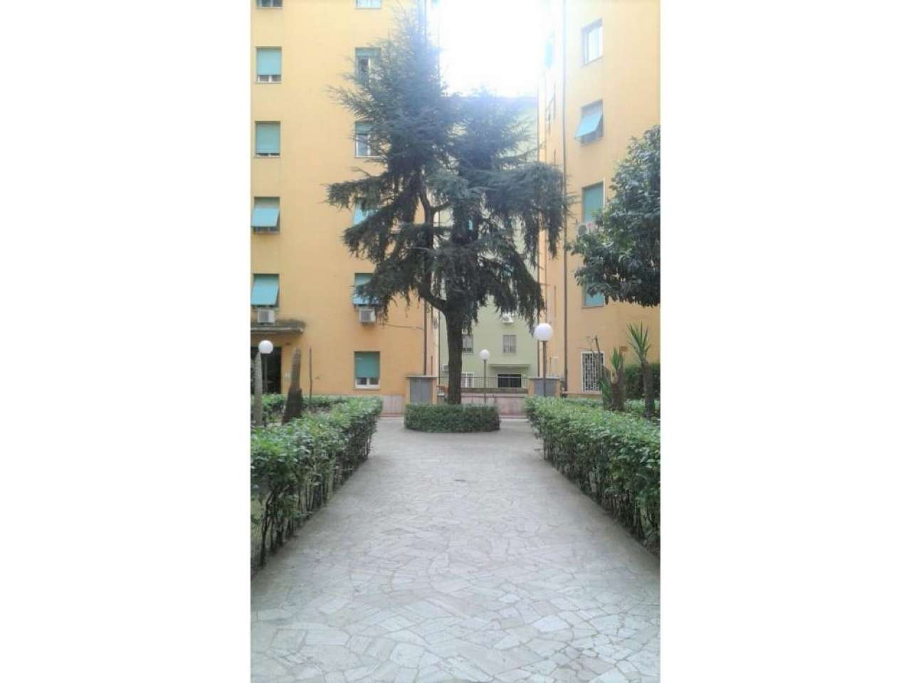  roma vendita quart: don bosco (vii mun.) affiliato frimm - alpa immobiliare s.r.l.s.