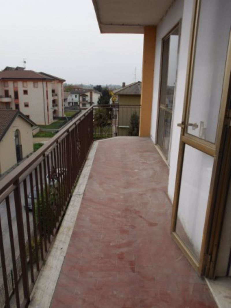 Appartamento ALBUZZANO vendita   case basse immobiliare campari