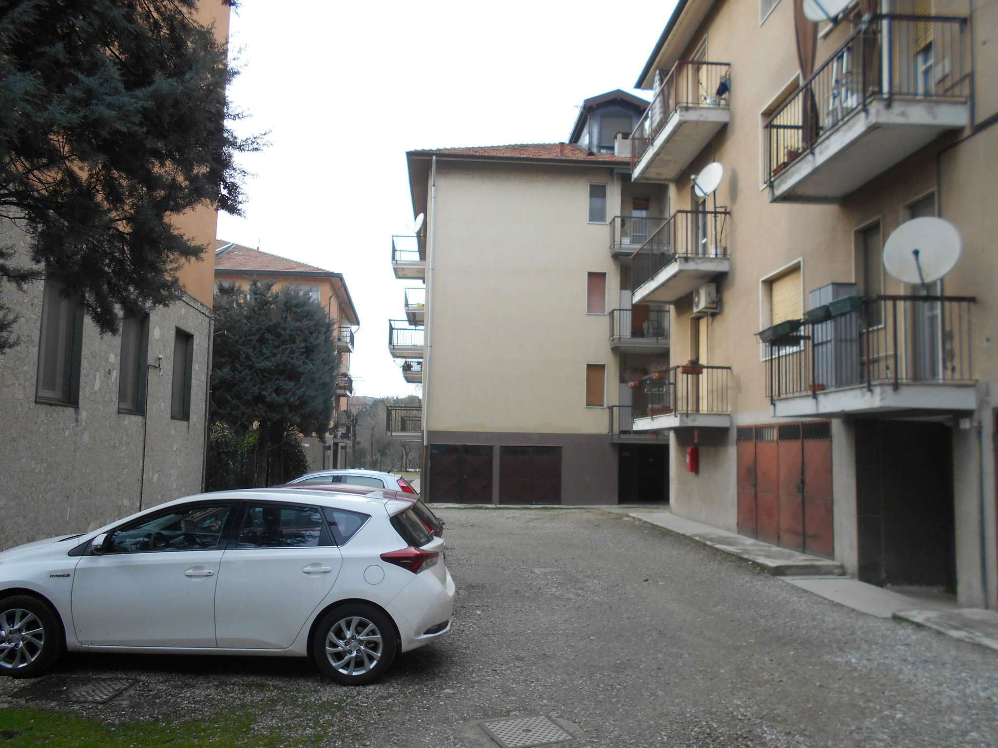 Appartamento PAVIA vendita   ferrini immobiliare campari