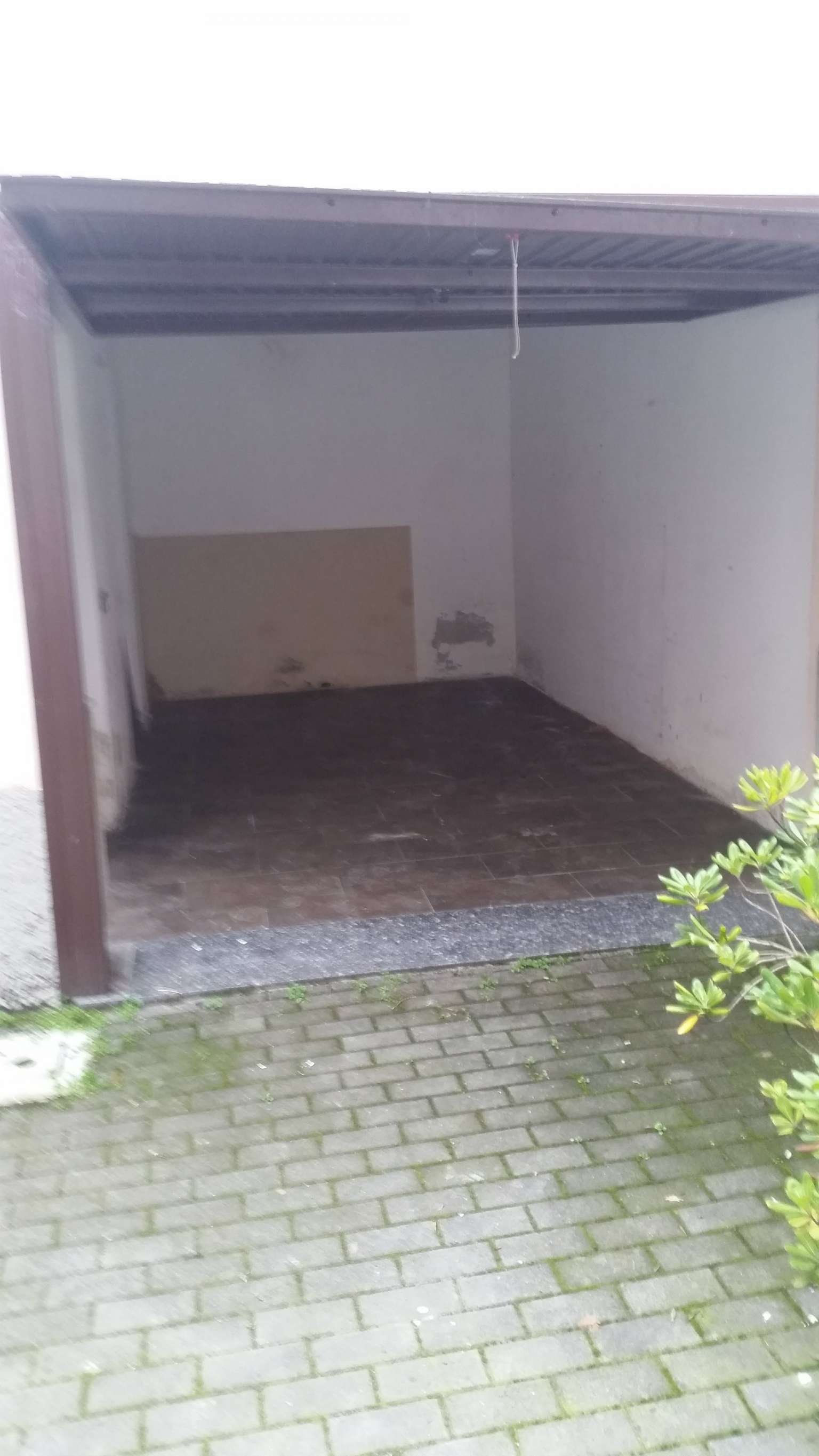 Negozio - Loc.Com. PAVIA affitto    immobiliare campari