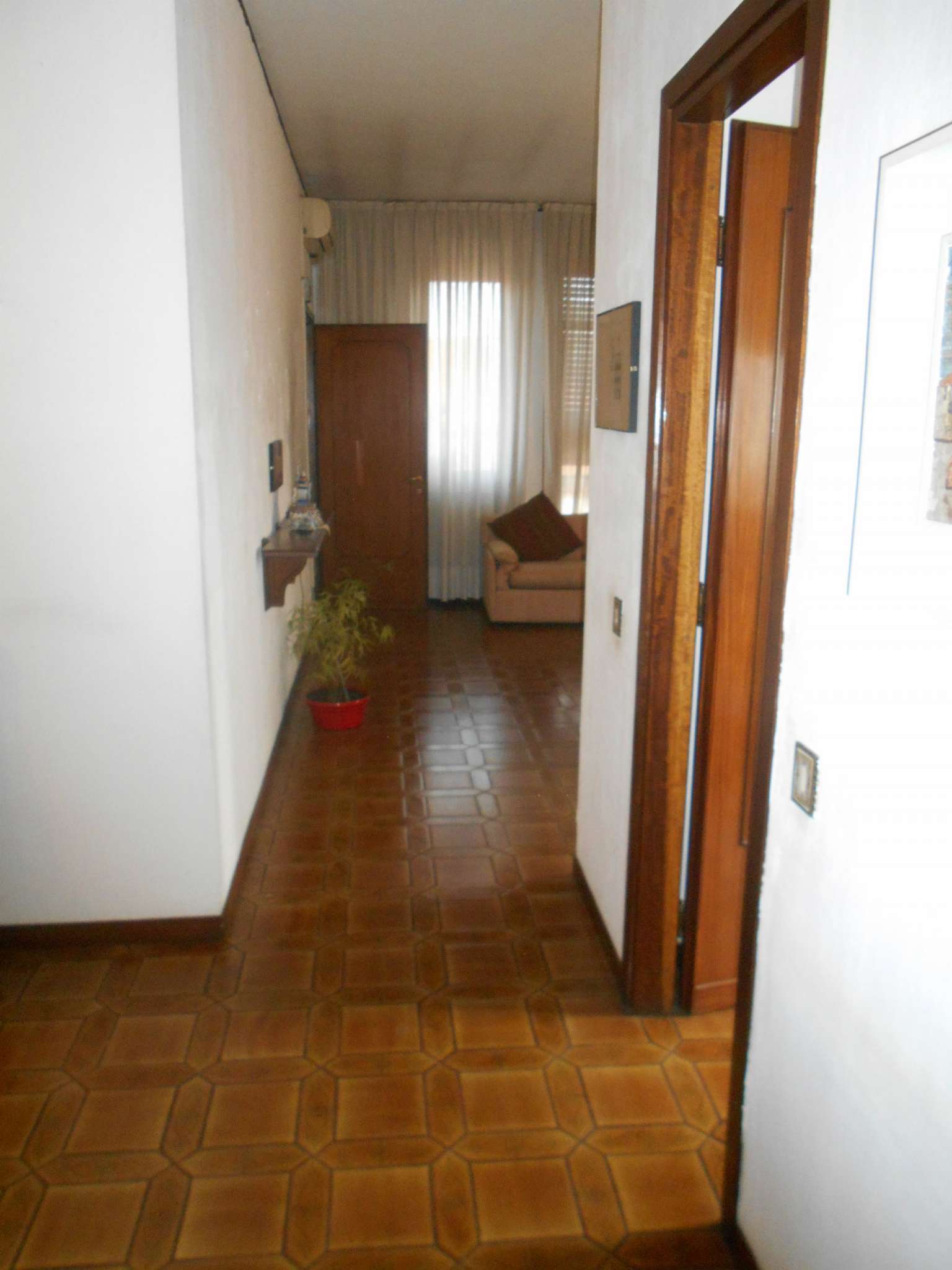 Attico PAVIA vendita   san pietro immobiliare campari