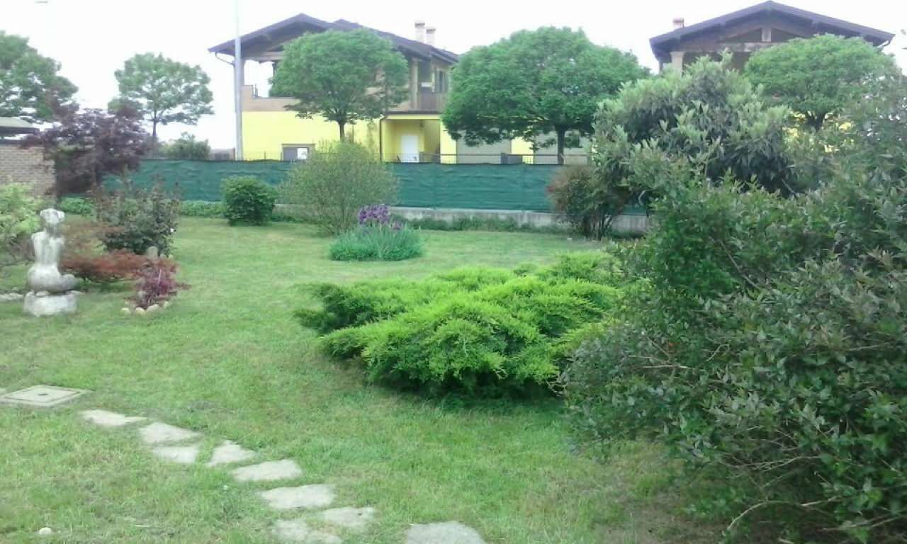 Appartamento ALBUZZANO vendita   modigliani immobiliare campari