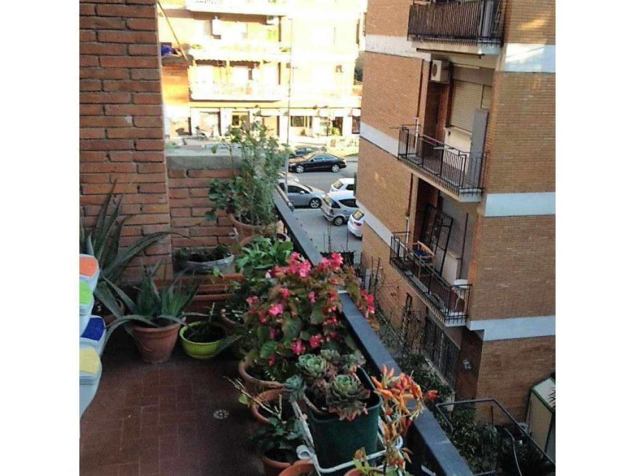 Appartamento ROMA vendita  PINETA SACCHETTI del forte braschi EXGAB SRL