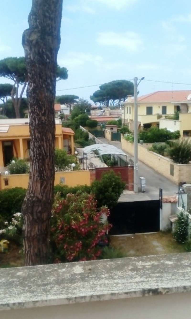 Villa Affiancata - Schiera ARDEA vendita   DELLE QUERCIE TRASTEVERE IMMOBILIARE