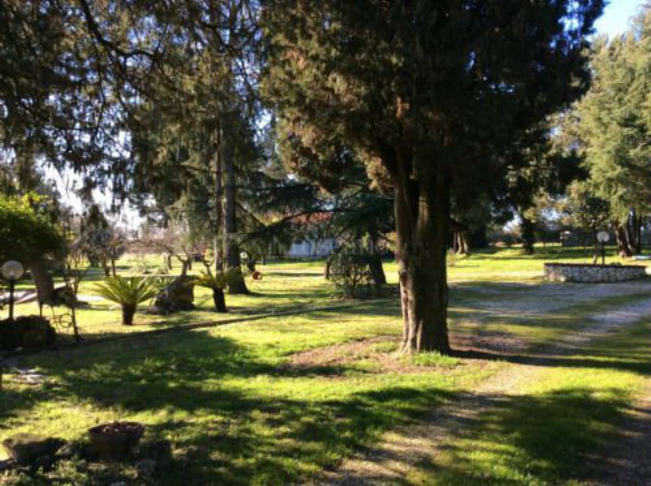  roma vendita quart: cassia flaminia trastevere immobiliare