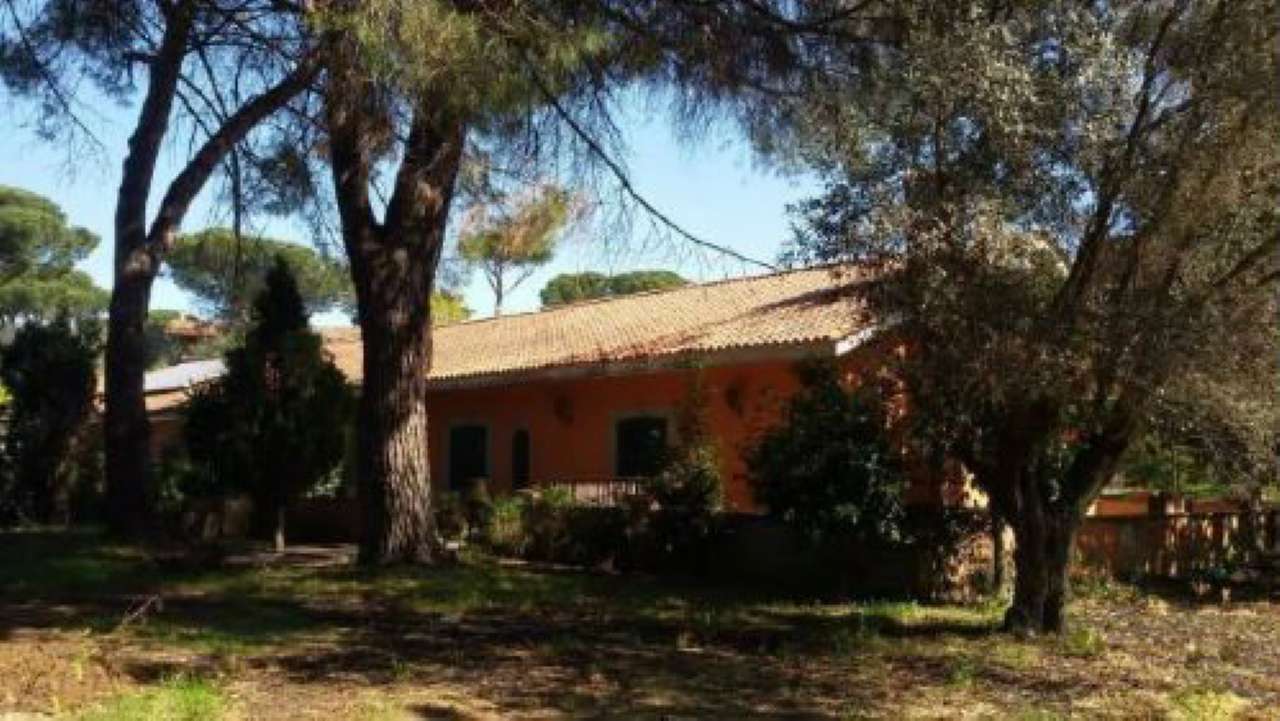 Villa Bifamiliare ROMA vendita  Cassia flaminia via casali san nicola TRASTEVERE IMMOBILIARE