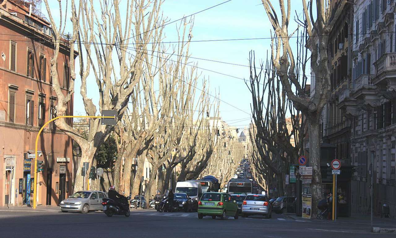 Appartamento ROMA vendita  Centro storico ad.via merulana TRASTEVERE IMMOBILIARE