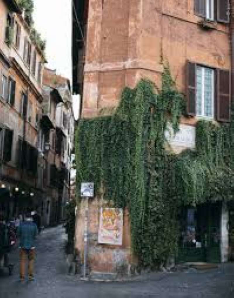  roma affitto quart: trastevere  trastevere immobiliare