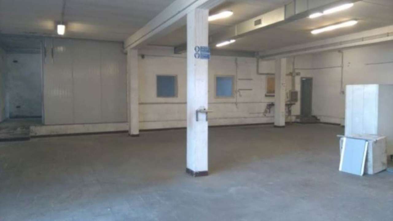 Negozio - Loc.Com. ROMA affitto  FINOCCHIO Bellico Calpurnio Agenzia Regilla Immobiliare s.a.s.