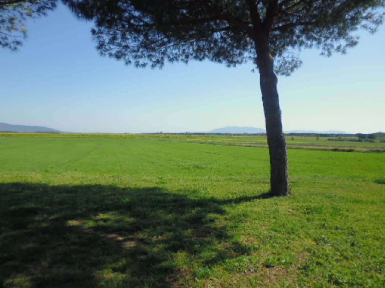 Villa Unifamiliare - Indipendente ORBETELLO vendita    Servizi Immobiliari Formello S.r.l. affiliato FRIMM