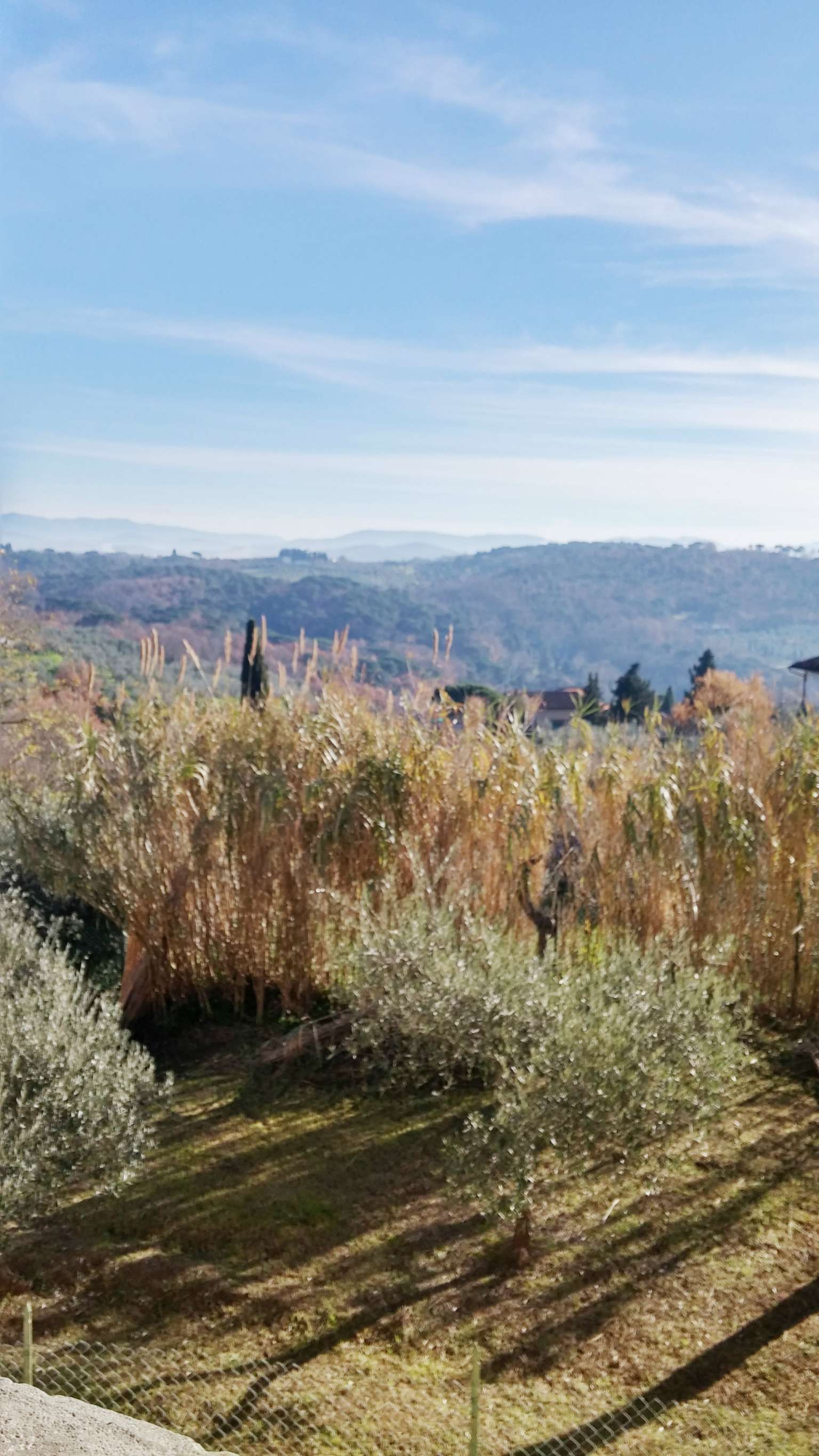  san casciano in val di pesa vendita quart:  scandicci casa s.r.l.