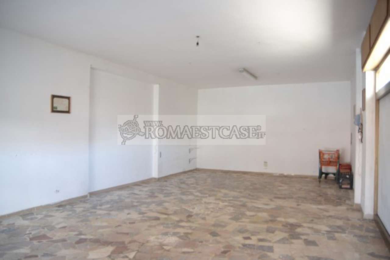  roma affitto quart: borghesiana (zona della viii mun.) romaestcase.it